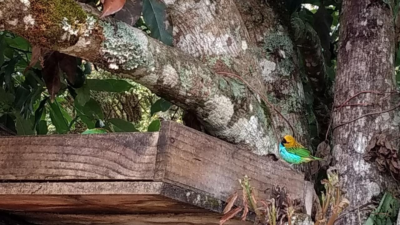 Pousada Ecologica Vale Das Cores Лаврас Новас Екстериор снимка